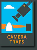 Camera Traps