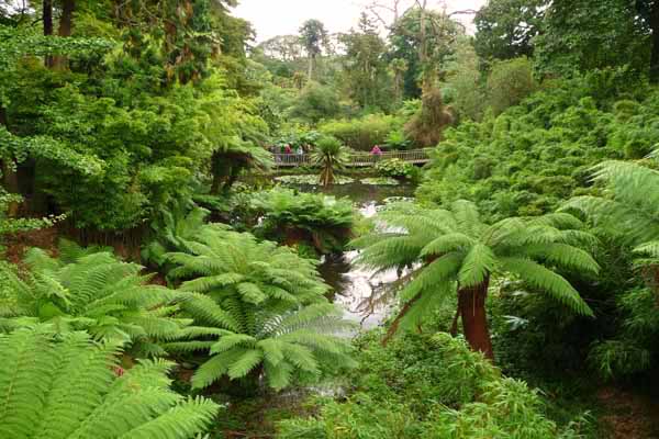 Lost gardens of Heligan - Cable dolly shot