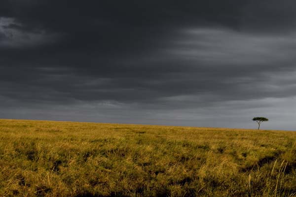 Masai Mara